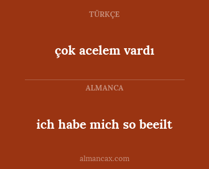 çok acelem vardı - ich habe mich so beeilt