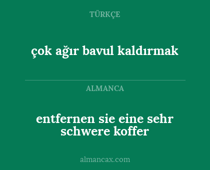 entfernen sie eine sehr schwere koffer - çok ağır bavul kaldırmak