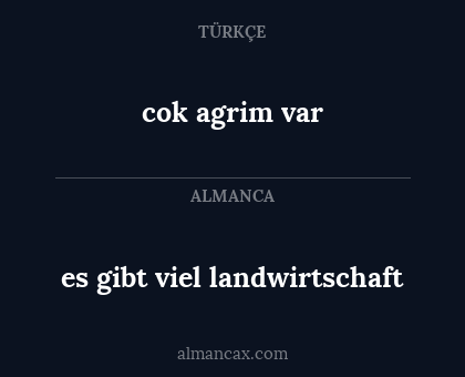 cok agrim var - es gibt viel landwirtschaft