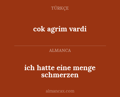 ich hatte eine menge schmerzen - cok agrim vardi