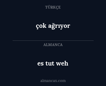 es tut weh - çok ağrıyor