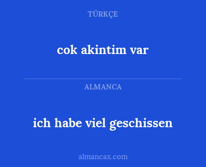 cok akintim var - ich habe viel geschissen
