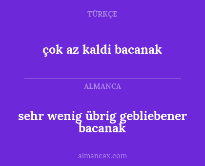 çok az kaldi bacanak - sehr wenig übrig gebliebener bacanak