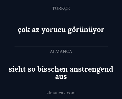 sieht so bisschen anstrengend aus - çok az yorucu görünüyor