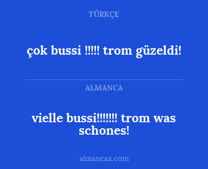 vielle bussi!!!!!!! trom was schones! - çok bussi !!!!! trom güzeldi!