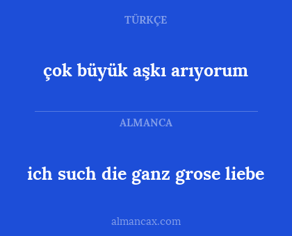 çok büyük aşkı arıyorum - ich such die ganz grose liebe