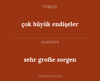 çok büyük endişeler - sehr große sorgen