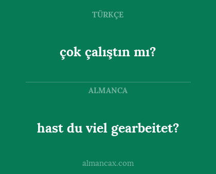 çok çalıştın mı? - hast du viel gearbeitet?