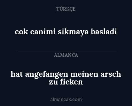 hat angefangen meinen arsch zu ficken - cok canimi sikmaya basladi