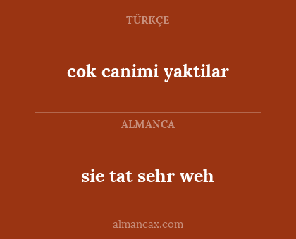 cok canimi yaktilar - sie tat sehr weh