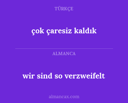 çok çaresiz kaldık - wir sind so verzweifelt