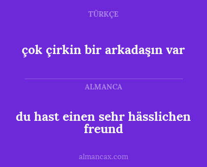 du hast einen sehr hässlichen freund - çok çirkin bir arkadaşın var