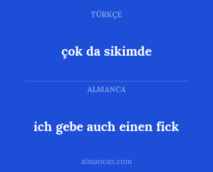 ich gebe auch einen fick - çok da sikimde
