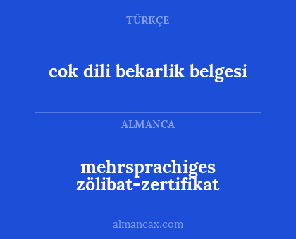 cok dili bekarlik belgesi - mehrsprachiges zölibat-zertifikat