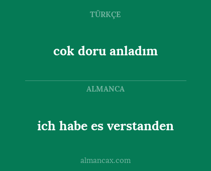 ich habe es verstanden - cok doru anladım