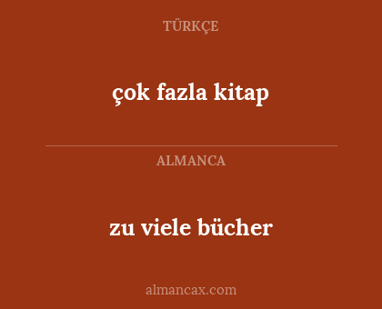 zu viele bücher - çok fazla kitap