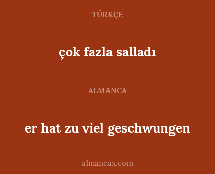 er hat zu viel geschwungen - çok fazla salladı