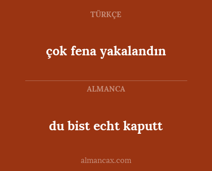 çok fena yakalandın - du bist echt kaputt