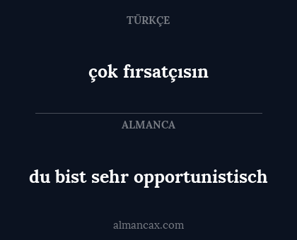 çok fırsatçısın - du bist sehr opportunistisch