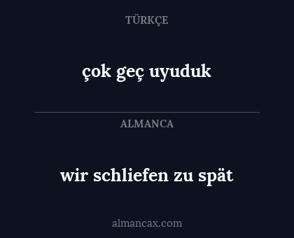 wir schliefen zu spät - çok geç uyuduk
