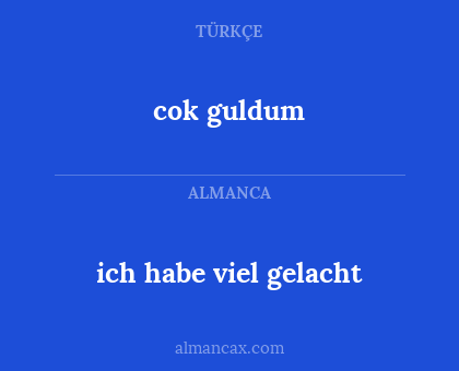 ich habe viel gelacht - cok guldum