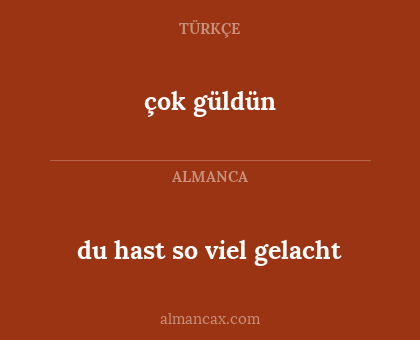 du hast so viel gelacht - çok güldün