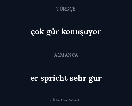 çok gür konuşuyor - er spricht sehr gur