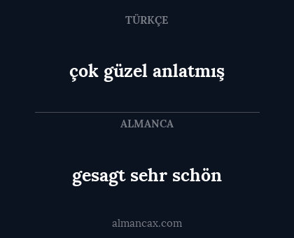 çok güzel anlatmış - gesagt sehr schön