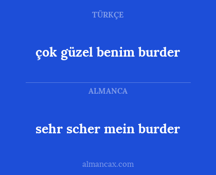 sehr scher mein burder - çok güzel benim burder