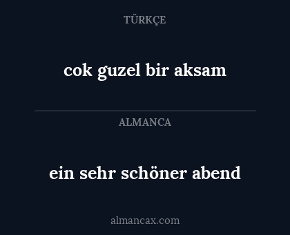 cok guzel bir aksam - ein sehr schöner abend