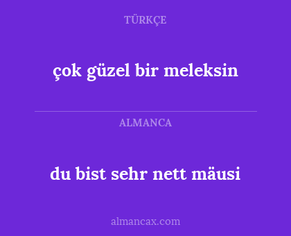 du bist sehr nett mäusi - çok güzel bir meleksin