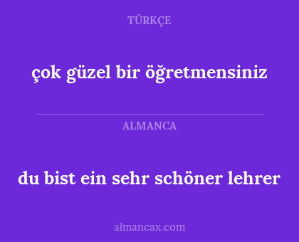 çok güzel bir öğretmensiniz - du bist ein sehr schöner lehrer