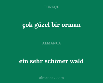 çok güzel bir orman - ein sehr schöner wald