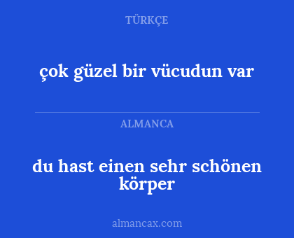 du hast einen sehr schönen körper - çok güzel bir vücudun var