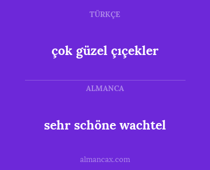 çok güzel çıçekler - sehr schöne wachtel