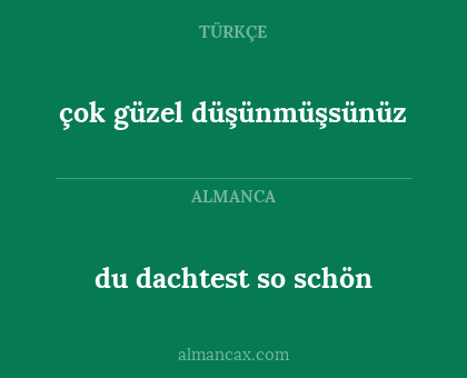 du dachtest so schön - çok güzel düşünmüşsünüz