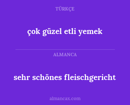 sehr schönes fleischgericht - çok güzel etli yemek
