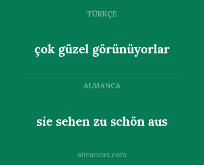 çok güzel görünüyorlar - sie sehen zu schön aus