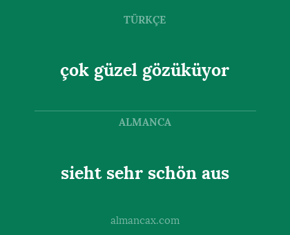 çok güzel gözüküyor - sieht sehr schön aus