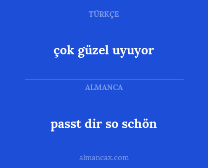 çok güzel uyuyor - passt dir so schön
