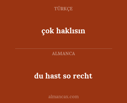 çok haklısın - du hast so recht