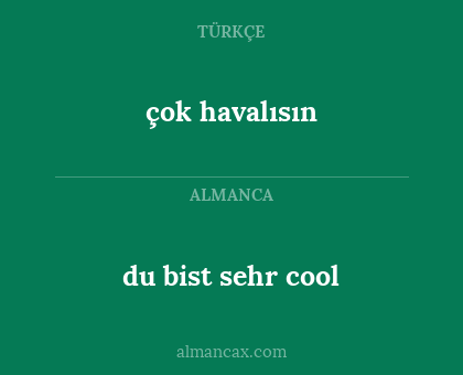 çok havalısın - du bist sehr cool