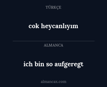 ich bin so aufgeregt - cok heycanlıyım