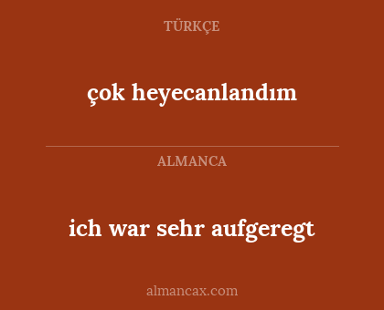 ich war sehr aufgeregt - çok heyecanlandım