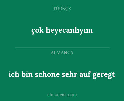 ich bin schone sehr auf geregt - çok heyecanlıyım