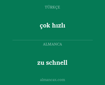 çok hızlı - zu schnell