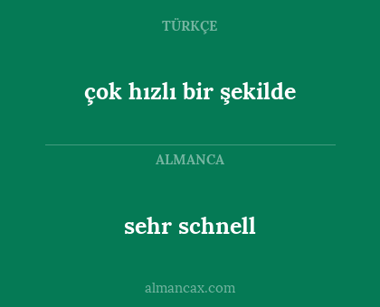 sehr schnell - çok hızlı bir şekilde