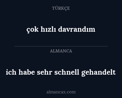 çok hızlı davrandım - ich habe sehr schnell gehandelt