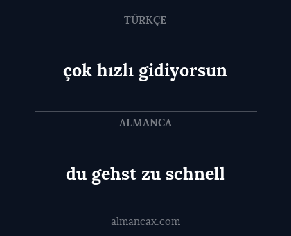 çok hızlı gidiyorsun - du gehst zu schnell