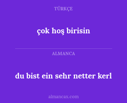 çok hoş birisin - du bist ein sehr netter kerl